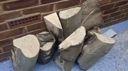 Photo of free Wood (Brookmans Park AL9) #1