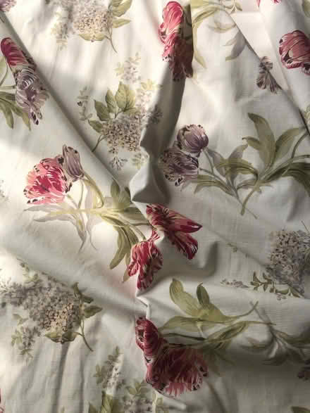 Photo of free Curtains (Bedford MK40) #3
