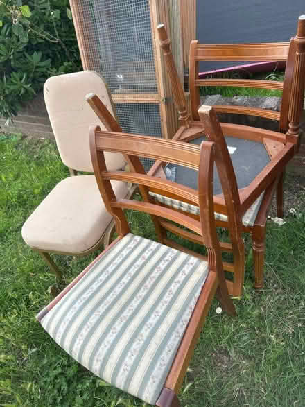 Photo of free Chairs (Chessington KT9) #1