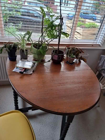 Photo of free Oak leaf table (West Green N15) #3