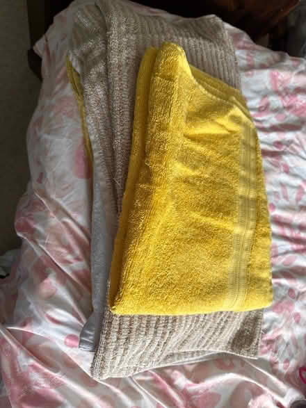 Photo of free Towels suitable for pet bedding (Lightwater) #1