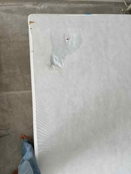 Photo of free Single bed bases, two (Haywards Heath RH16) #1