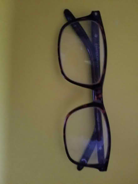 Photo of free Are these your glasses (Santa Monica) #1
