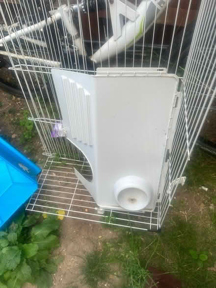 Photo of free Guinea pig cage (IG10 Buckhurst hill) #1