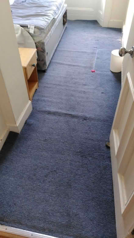 Photo of free Old carpet with underlay (EH9 Marchmont) #1