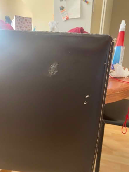 Photo of free 6 used high quality chairs (Elm Grove, Brighton) #2