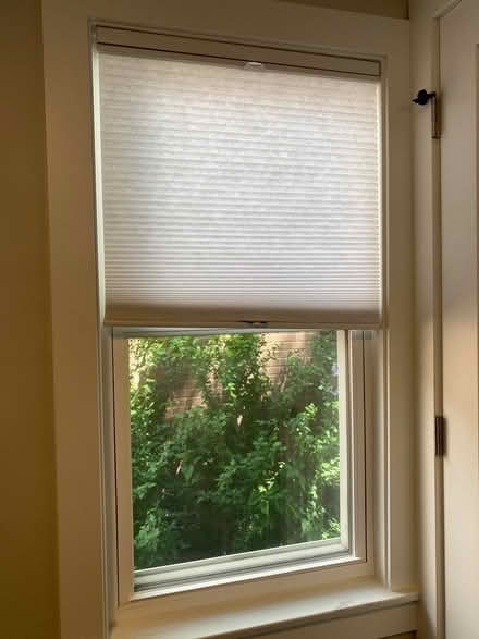 Photo of free Levelor honeycomb blinds (Sauganash south of Rogers Ave) #2