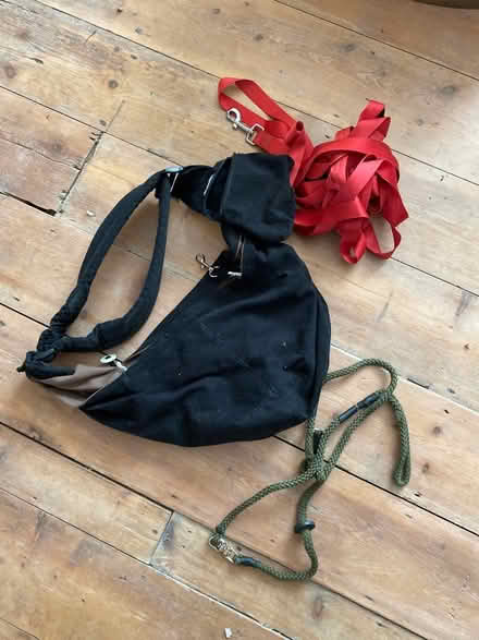 Photo of free Puppy / dog leash and sling (N18) #1
