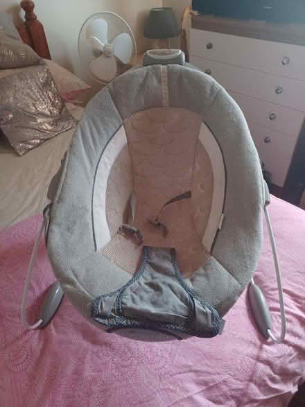 Photo of free Baby bouncer (Paulsgrove PO6) #1