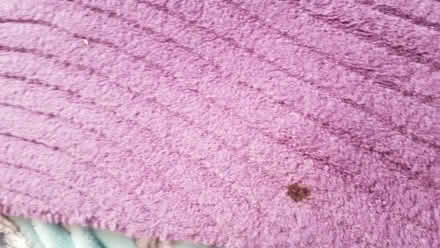 Photo of free Mauve rug 68 approx x 48 inches (Knaphill GU21) #1