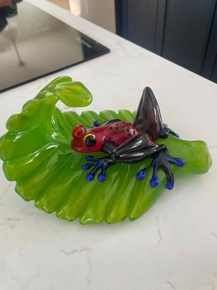 Photo of free Glass frog (Beachwood Canyon) #1