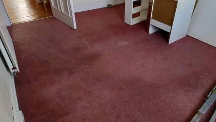 Photo of free pink carpet (EH9 Marchmont) #1