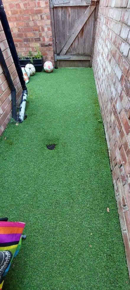 Photo of free Artificial grass (Aigburth L17) #1