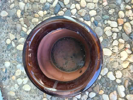 Photo of free 2 Plant Pots (cupertino near library) #3