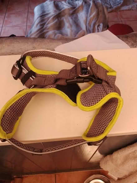 Photo of free Three Peaks Dog Harness for small breed (Speke L24) #1