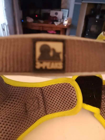 Photo of free Three Peaks Dog Harness for small breed (Speke L24) #2