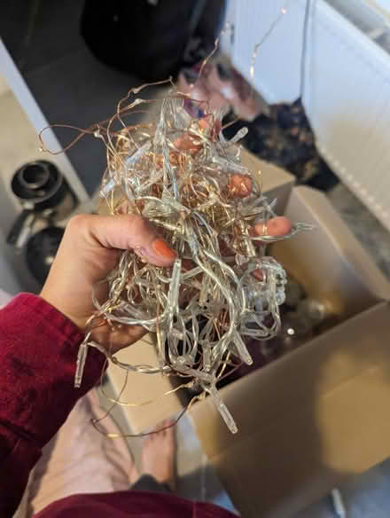 Photo of free Fairy lights (Ore TN34) #1
