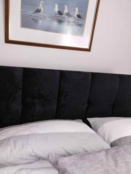 Photo of free King size black headboard (Melton Park NE3) #1