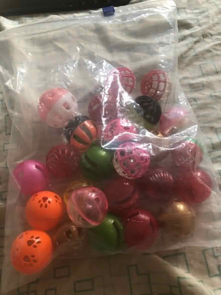 Photo of free Cat toy with Bell (East Brockton) #1