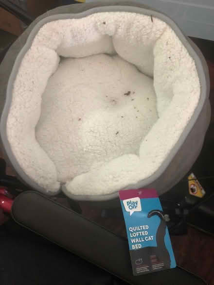 Photo of free Play On! Cat Bed (East Brockton) #1
