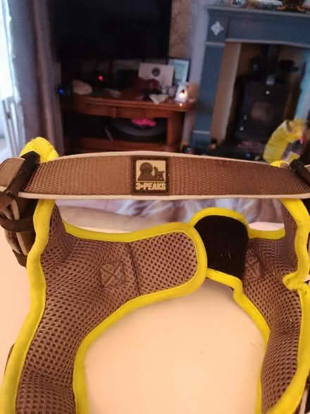 Photo of free Three Peaks Dog Harness for small breed (Speke L24) #3