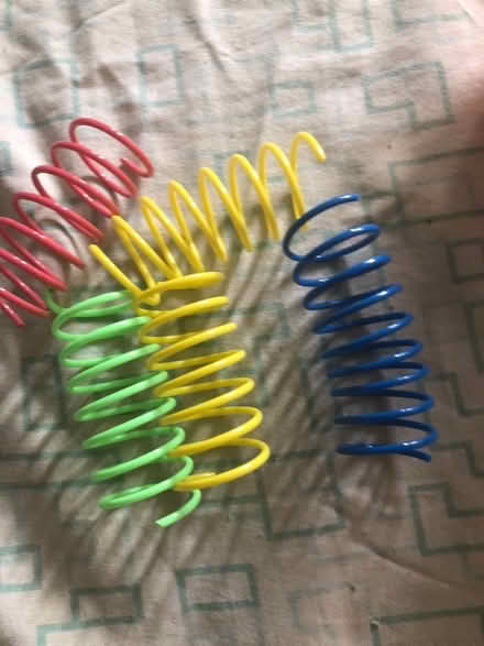 Photo of free Cat Toy Springs (East Brockton) #1