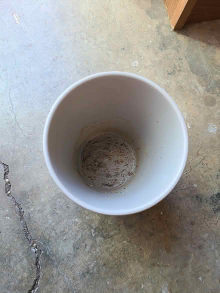 Photo of free 2 Plant Pots (cupertino near library) #1
