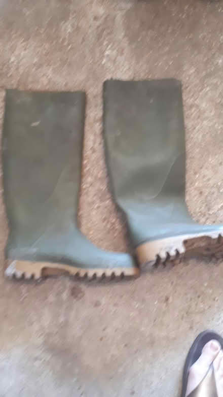 Photo of free Wellingtons size 9 (Ringmer BN8) #1