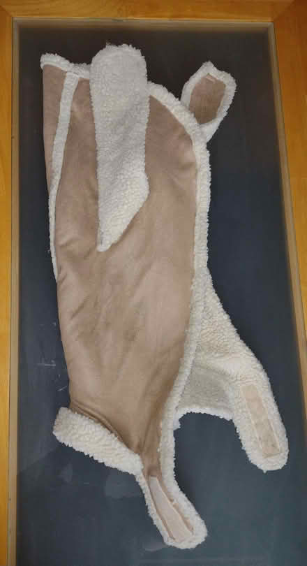Photo of free Fleecy dog coat (Manor S2) #1