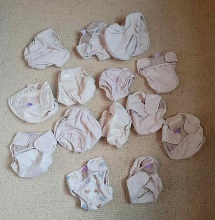Photo of free Reusable nappies (NE39 High Spen) #1