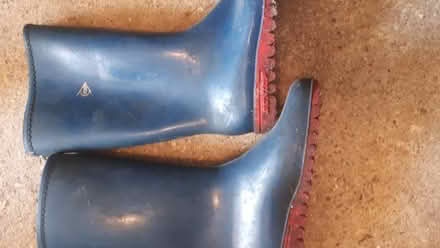 Photo of free Blue wellingtons size 5/6 (Ringmer BN8) #1