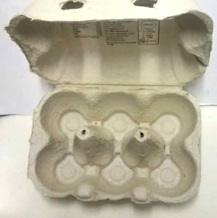 Photo of free 45 x Nice Clean Egg Boxes (Blofield Heath NR13) #2