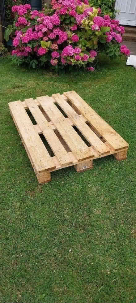 Photo of free Wooden pallet (Hemel Hempstead HP2) #1