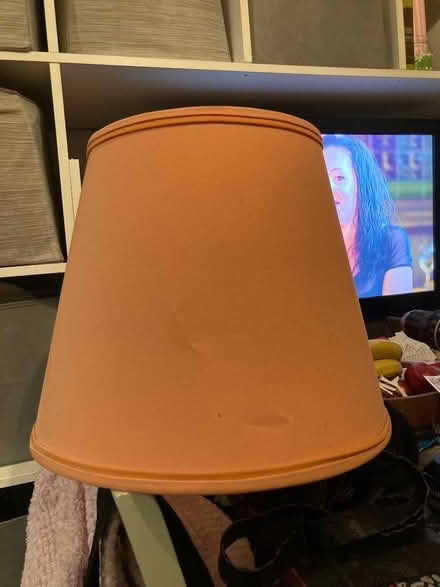 Photo of free Large pink lampshade (Greater Leys OX4) #2