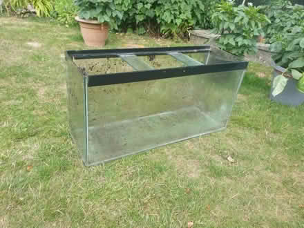Photo of free Fish Tank Aquarium (Patcham BN1) #1