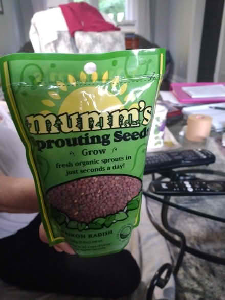 Photo of free Sprouting seeds (Newmarket) #1