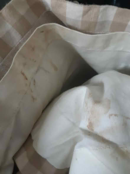 Photo of free Single curtain; made to measure (SN15) #3