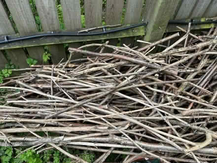 Photo of free Hazel Fencing Sticks (Presteigne LD8) #1