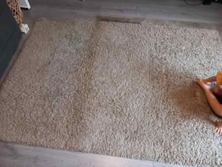 Photo of free Large beige rug (WS8) #1
