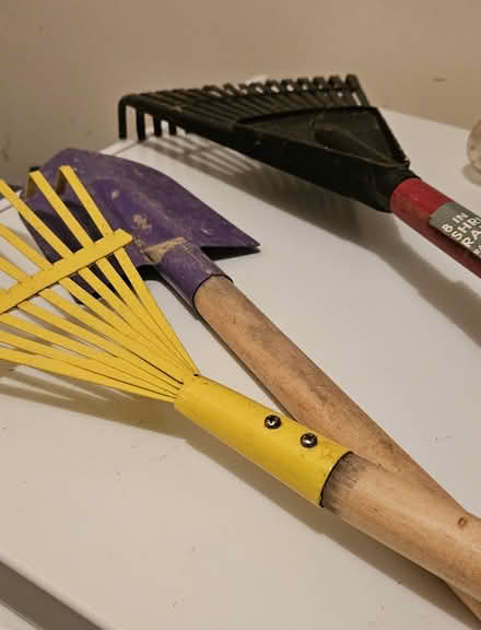 Photo of free Garden stuff, til 7.23 pm (Powhatan Crossing) #1