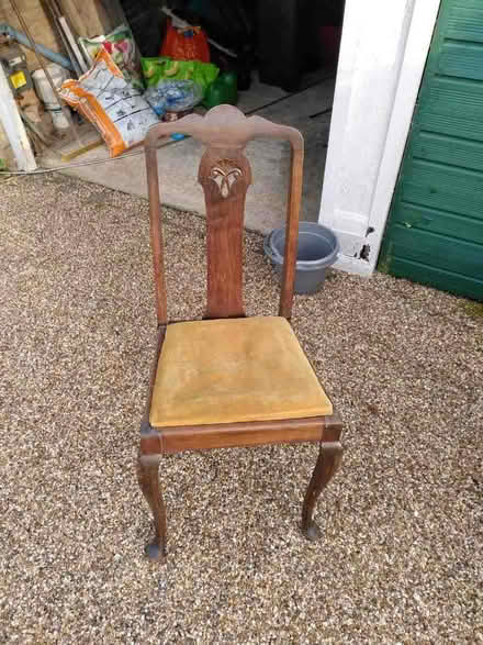 Photo of free Four dining chairs (Ewhurst GU6) #1