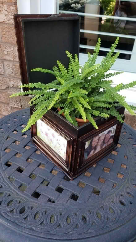 Photo of free Indoor Plant Box/ Picture Box (Yonge & Elgin Mills) #1