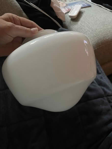 Photo of free ceiling fan light cover (Chicago Edgewater) #1
