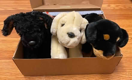 Photo of free Three stuffed animal puppies (Piney Orchard) #1