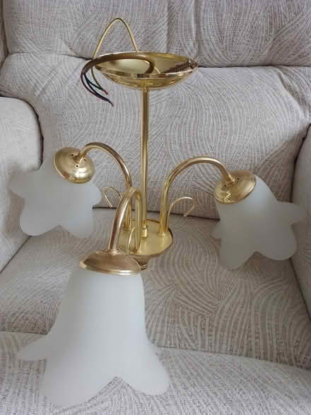 Photo of free Ceiling Light (SG7 Baldock) #1
