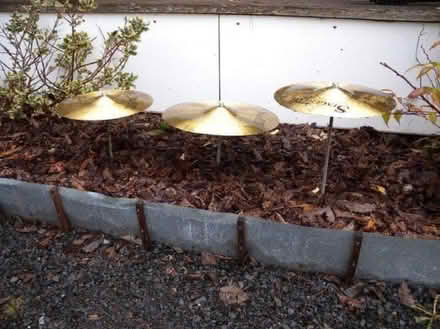 Photo of Cymbals (New Center/Metro Detroit Area) #1