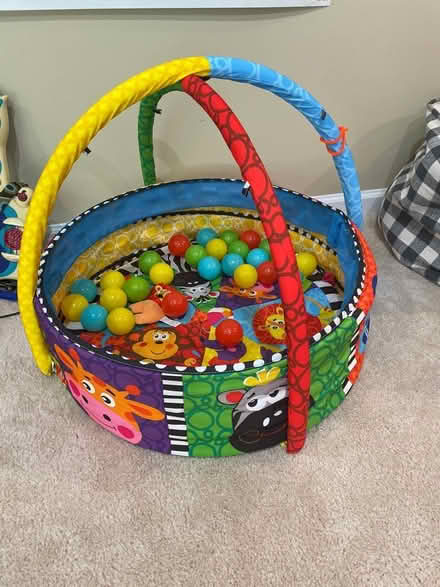 Photo of free Baby play ball pit (Oakton woods way) #1