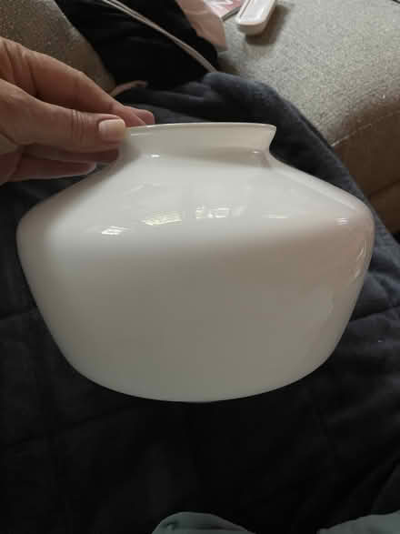 Photo of free ceiling fan light cover (Chicago Edgewater) #2