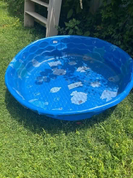 Photo of free Baby pool (Upper Roxborough) #1