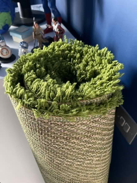 Photo of free Green IKEA Rug (KT7) #1